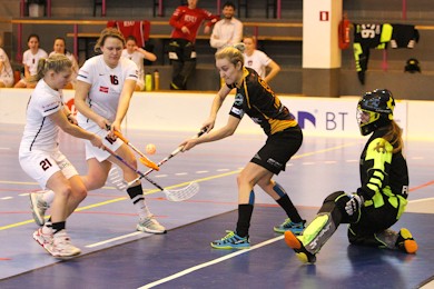 20140216-rsu_rubene_ulbroka.jpg
