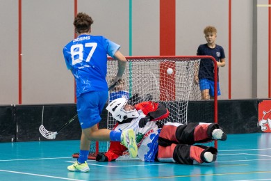 deginskarlis_vv_2024.jpg