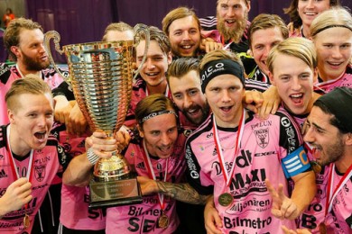 falun14.jpg