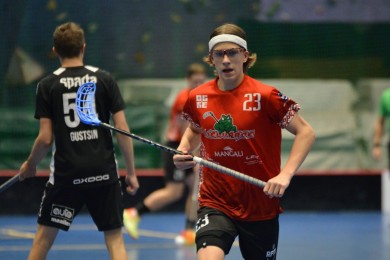 lielvarde_stukans_023.jpg