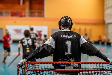 talsi_lavendels.jpg